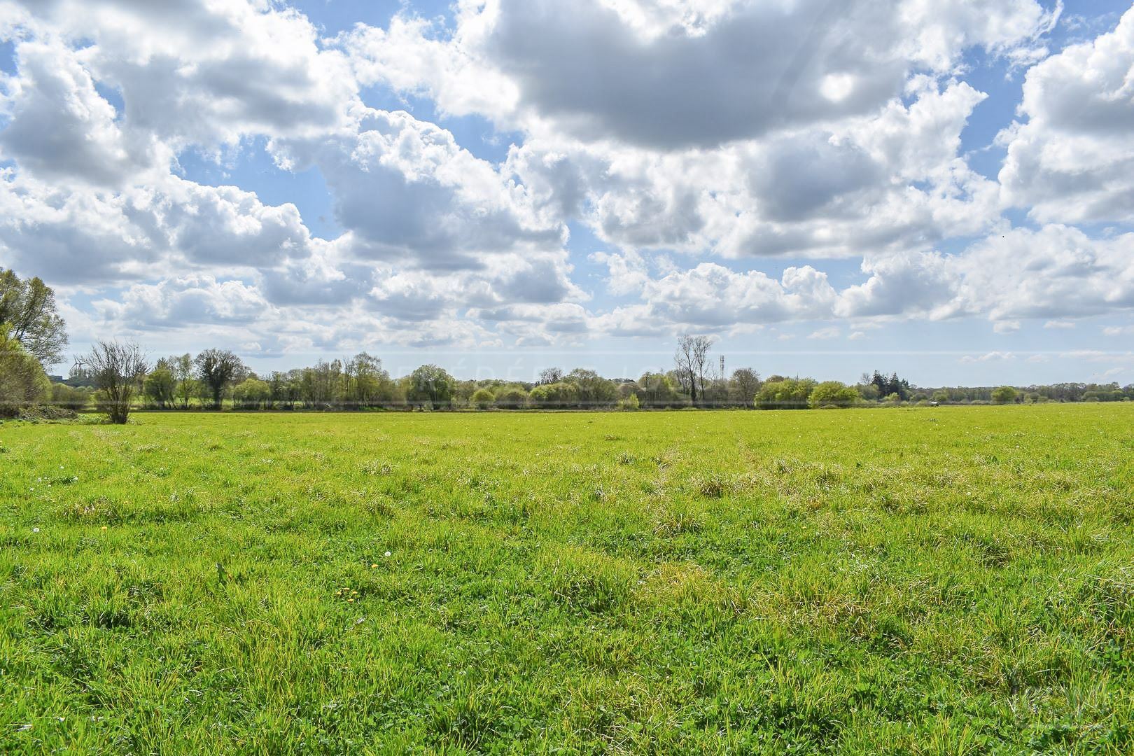 TERRAIN AGRICOLE - PROCHE CENTRE VILLE - IDEAL POUR CHEVAUX - EXPOSITION SUD - ACCES FACILE